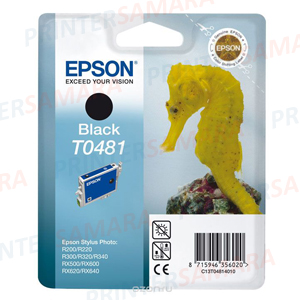 Epson T0481 C13T04814010  